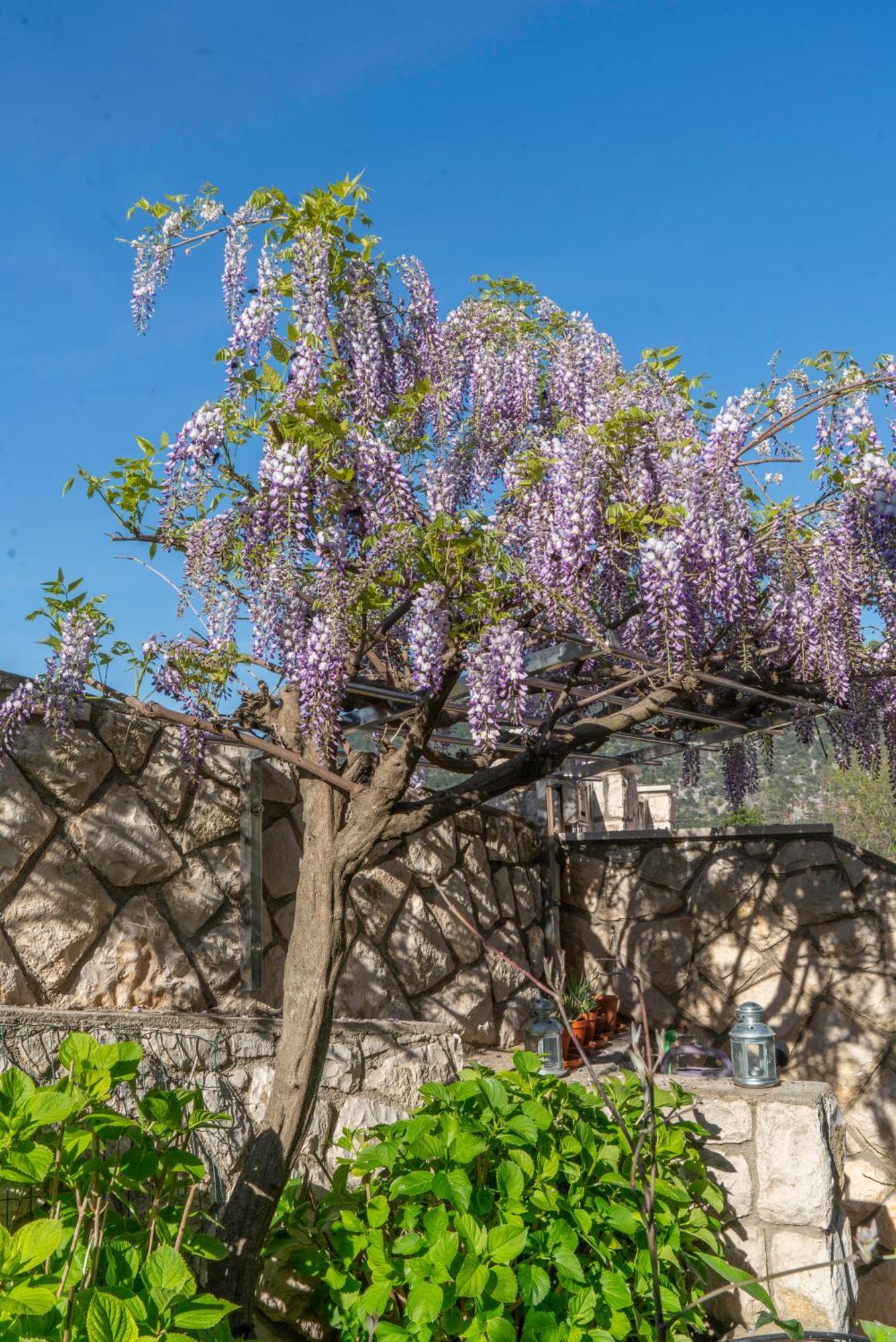 Apartments Lila Cres Δωμάτιο φωτογραφία