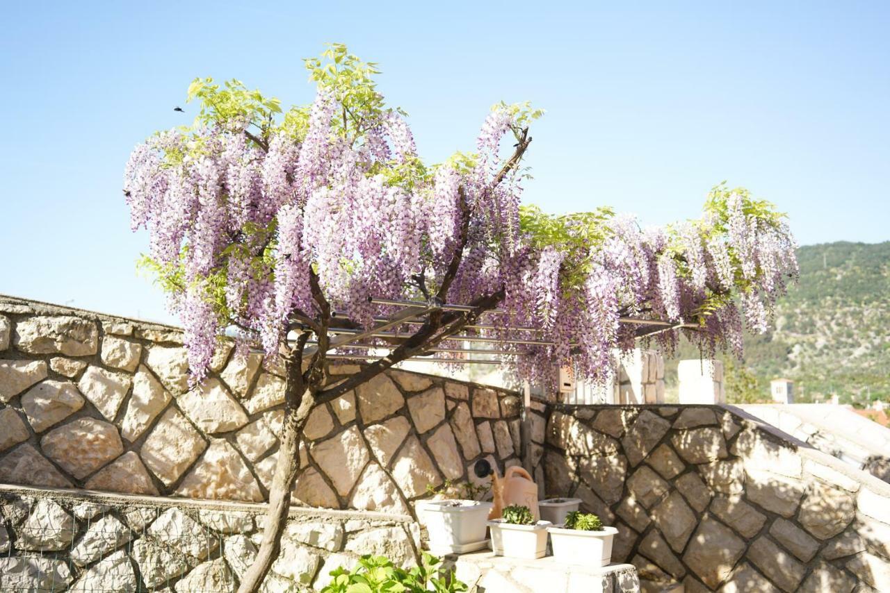 Apartments Lila Cres Εξωτερικό φωτογραφία