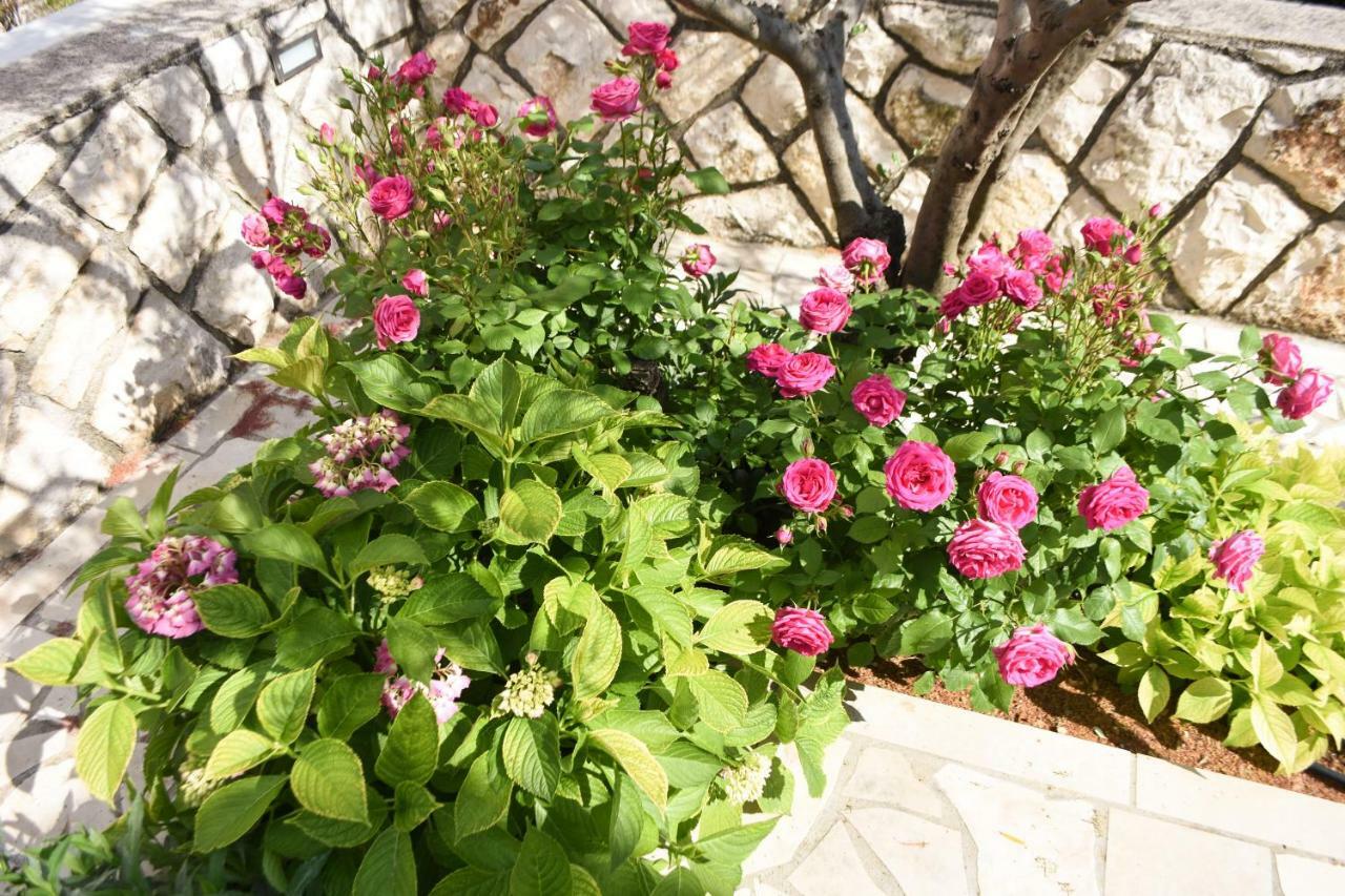 Apartments Lila Cres Εξωτερικό φωτογραφία